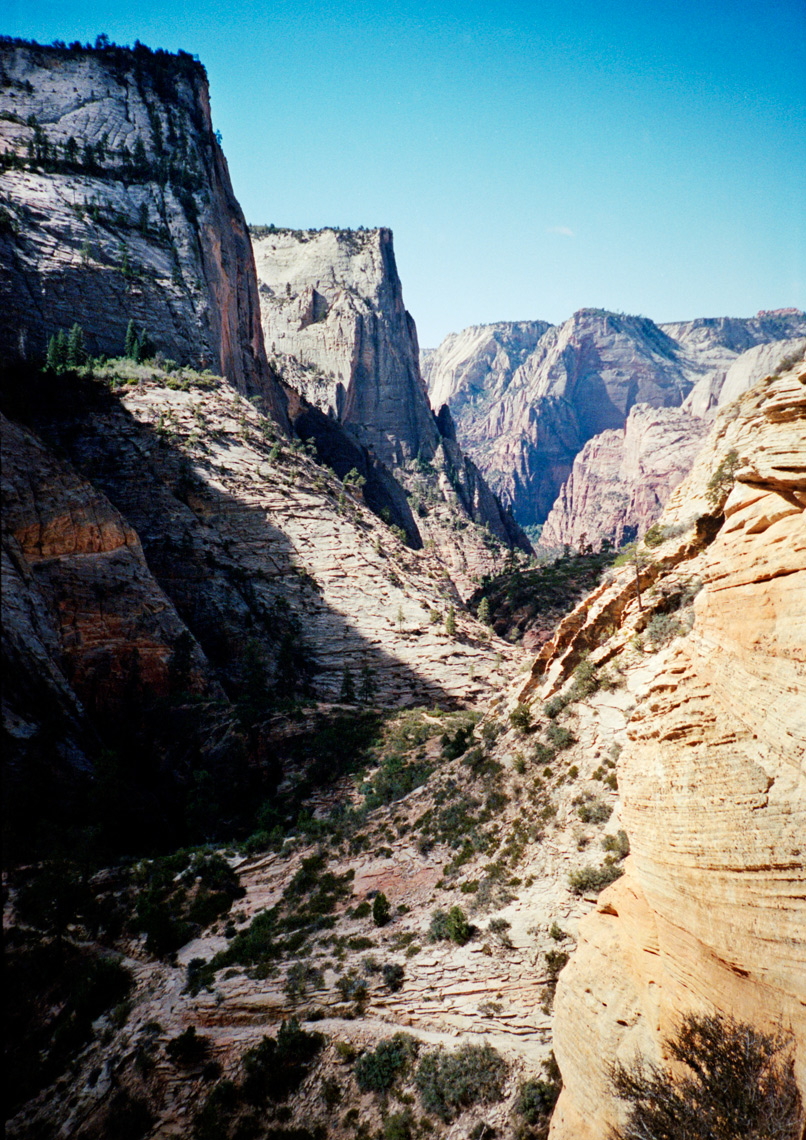 view from Observation Point Zion Nation Park
