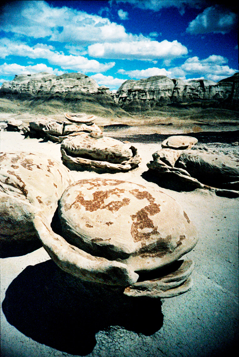 The Eggs in the De-Na-Zin Wilderness  Bisti Badlands