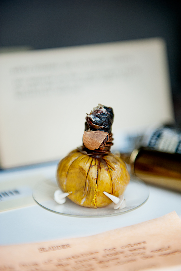 documentary photography for FvF Magazine at Harvard Straus Center