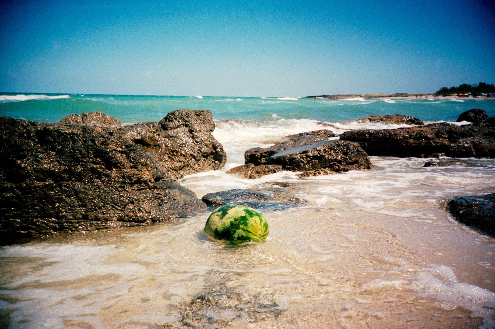 watermelon floating in sea off Adriatic Coast Italy