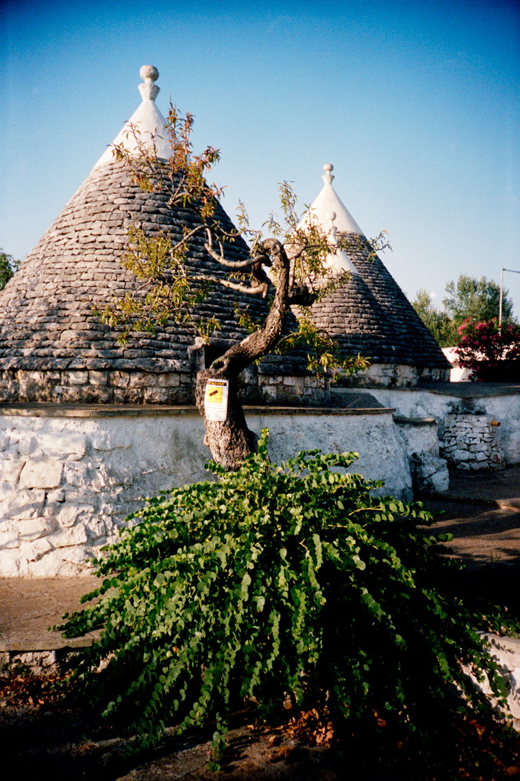 summer Trullo life in the whitewashed towns of Puglia Italy