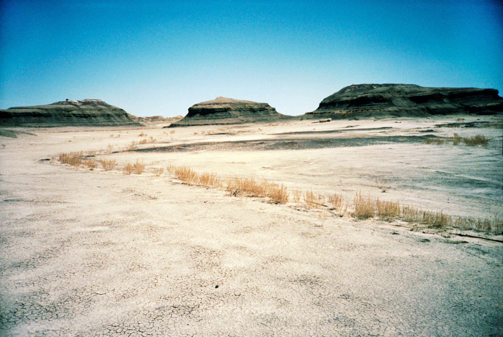 Bisti Badlands, De-Na-Zin Wilderness, New Mexico