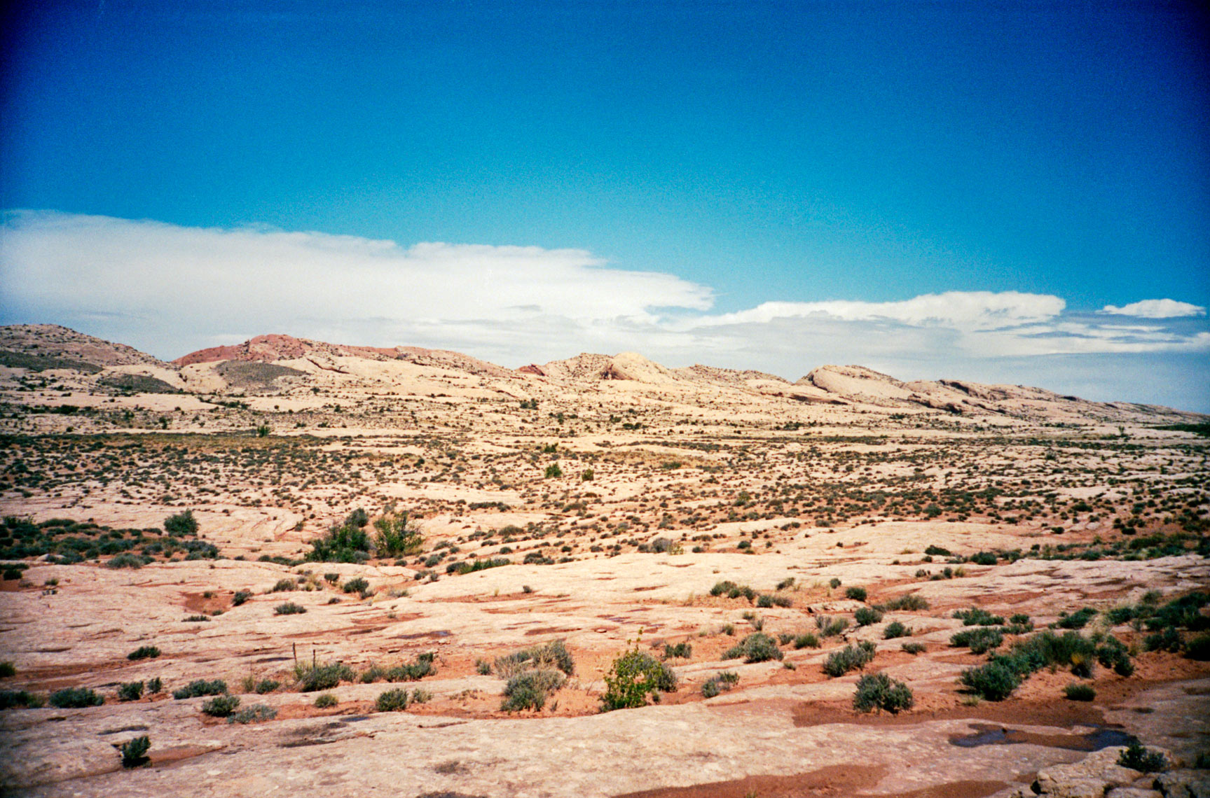 The Comb Ridge near Bluff Utah
